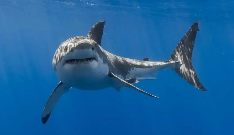 banner-<?php echo $i; ?>