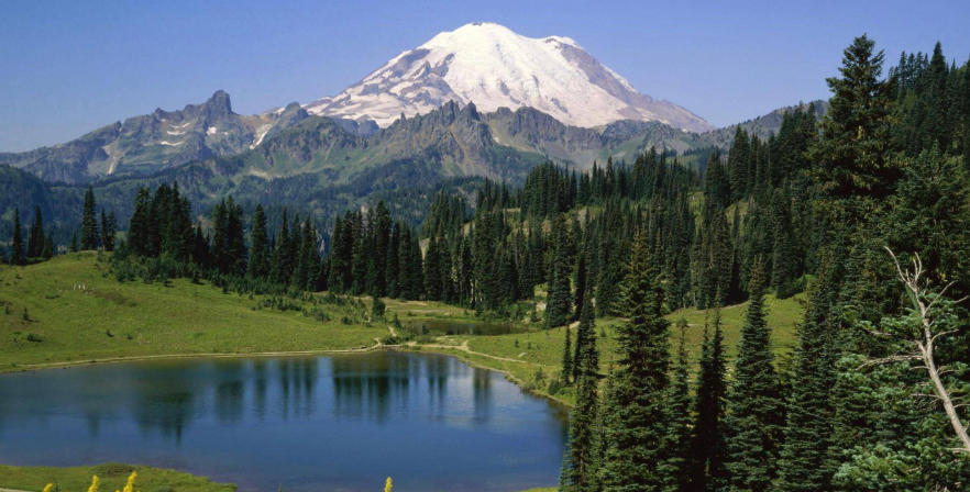 湖南聚情酒情有限公司轮播图3